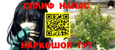 прущие грибы Донской