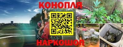 jwh Дубна