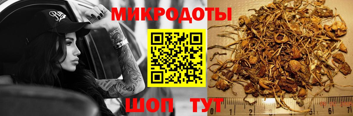 Галлюциногенные грибы MAGIC MUSHROOMS  Галлюциногенные грибы MAGIC MUSHROOMS  Вход с VPN  Минеральные Воды 